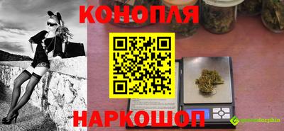 сатива Кунгур