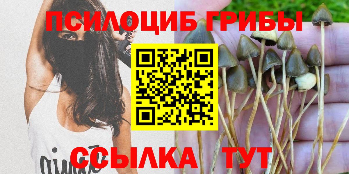 Домодедово  Галлюциногенные грибы MAGIC MUSHROOMS  Вход с VPN 