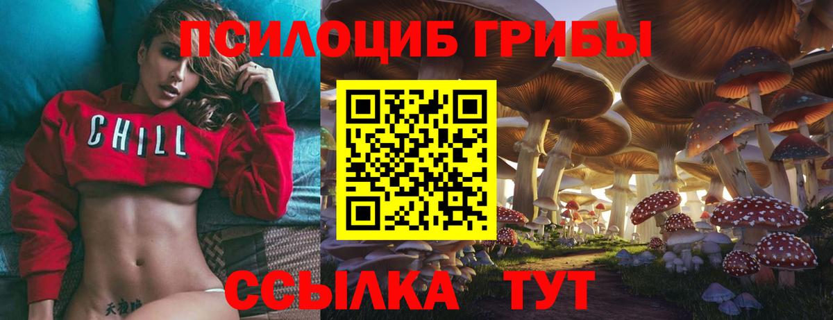Псилоцибиновые грибы Psilocybine cubensis Домодедово